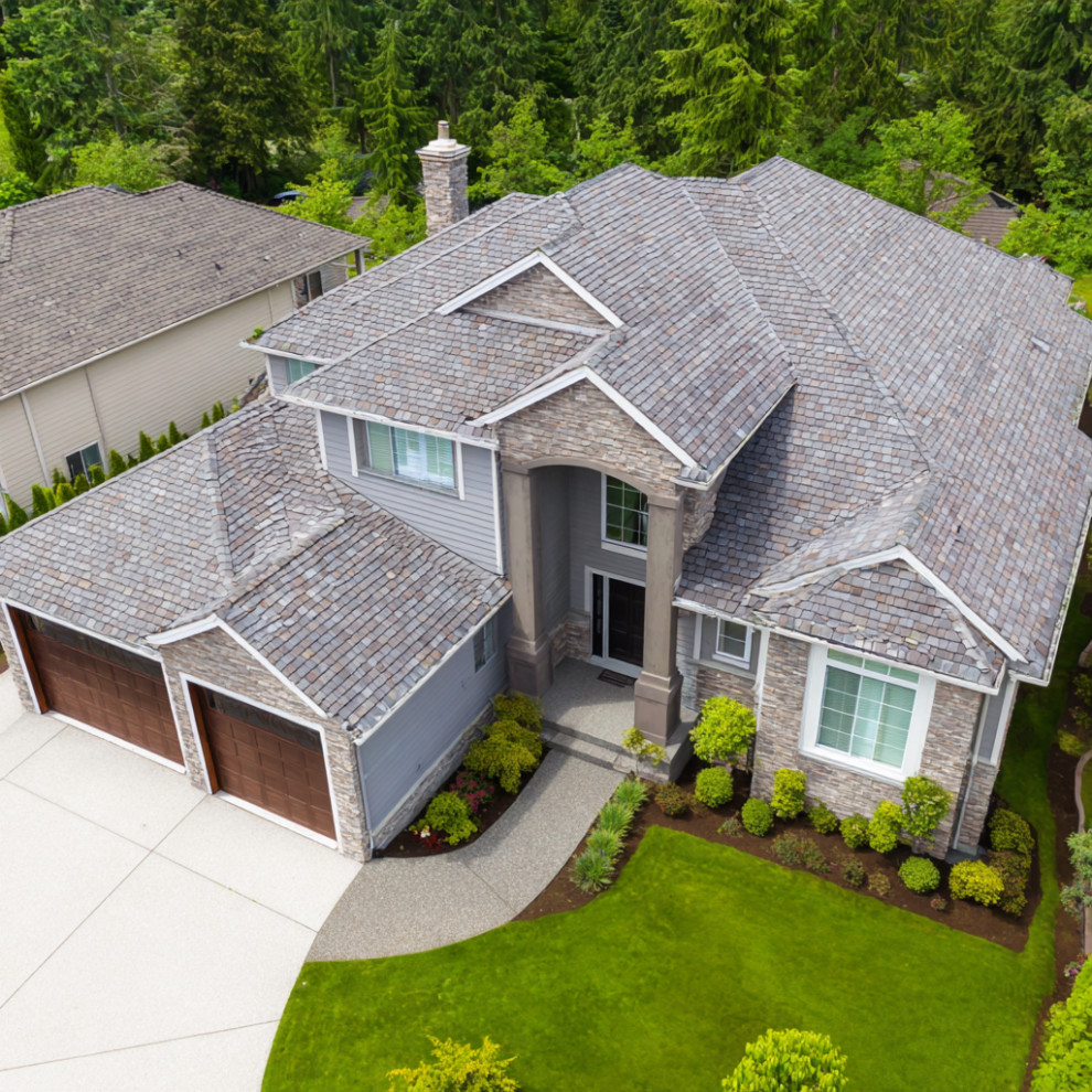Roof Shingles