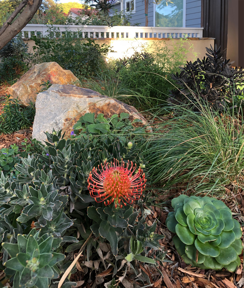 Kleiner, Halbschattiger Eklektischer Vorgarten im Frühling mit Blumenbeet, Natursteinplatten und Steinzaun in Los Angeles