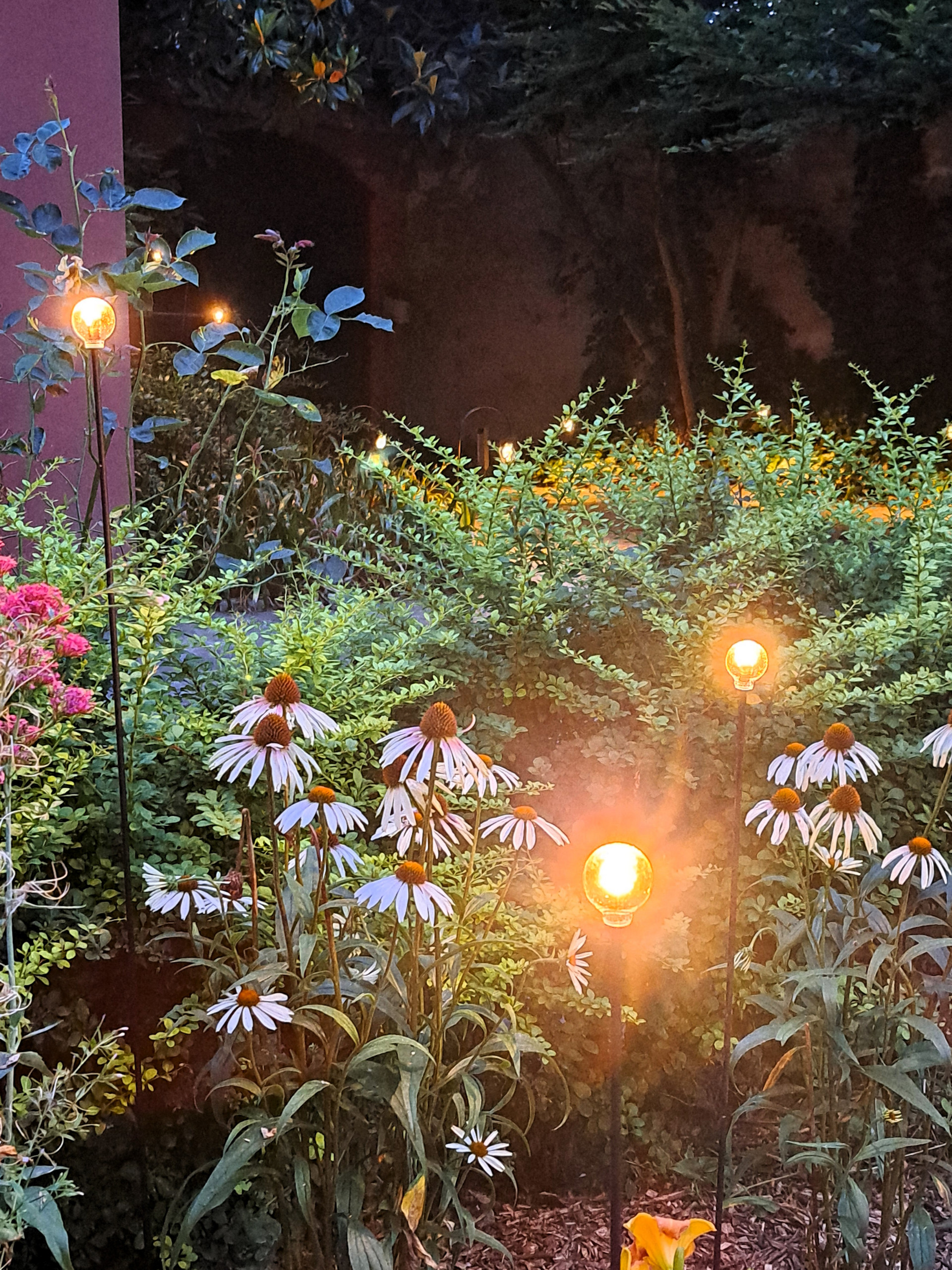 Giardino privato P.S.