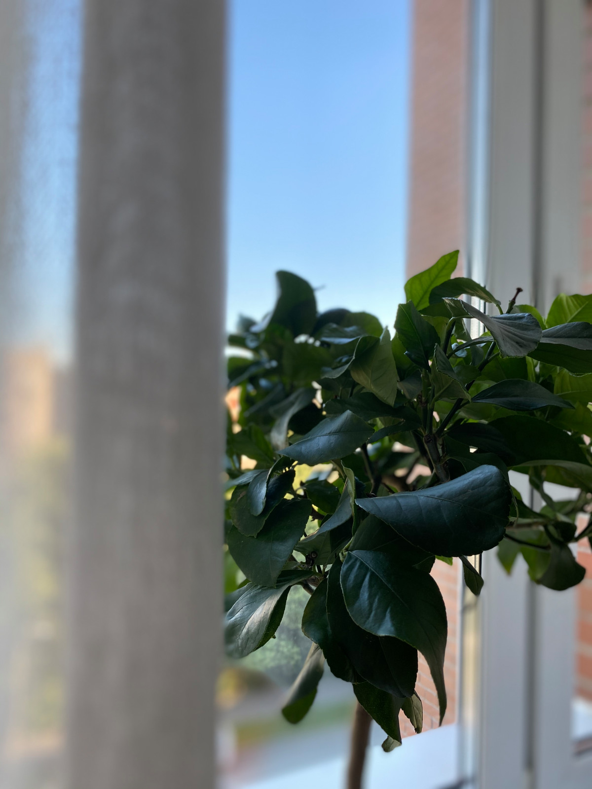 Евро планировка на 68 кв.м.http://tvoi.moi.dom.tilda.ws/