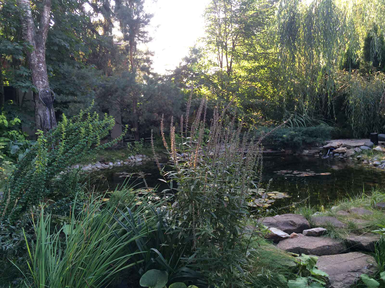 Резиденция "Зимний сад". Благоустройство территории