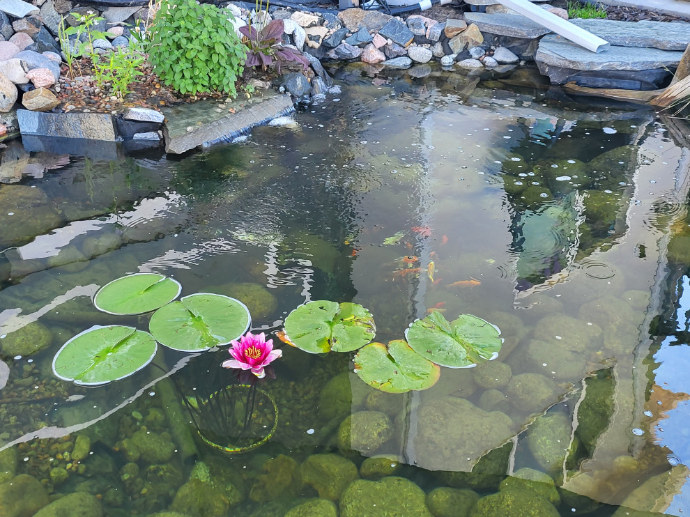 Custom✨ Koi Pond