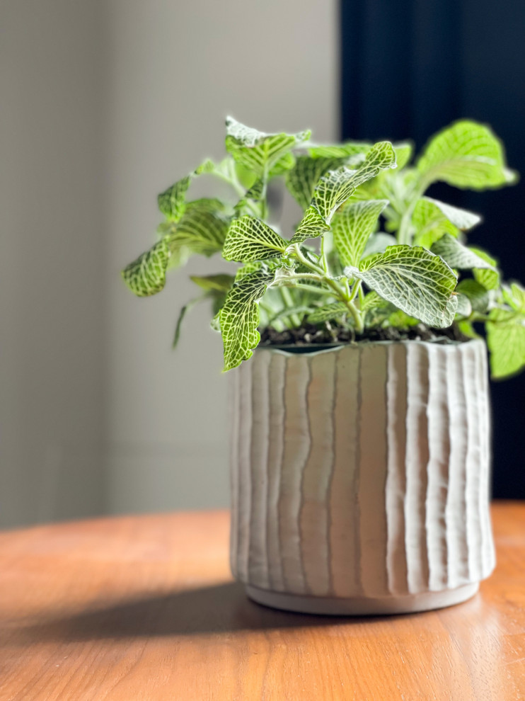 Modern Masculine Living | Cherry Creek, CO | Contemporary Condo Remodel