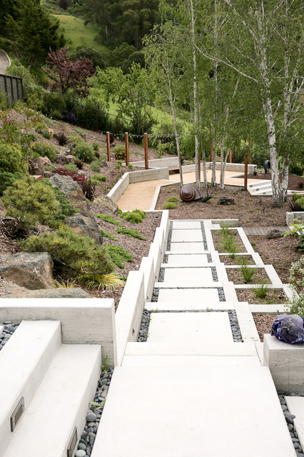 Immagine di un grande giardino contemporaneo esposto in pieno sole con un pendio, una collina o una riva