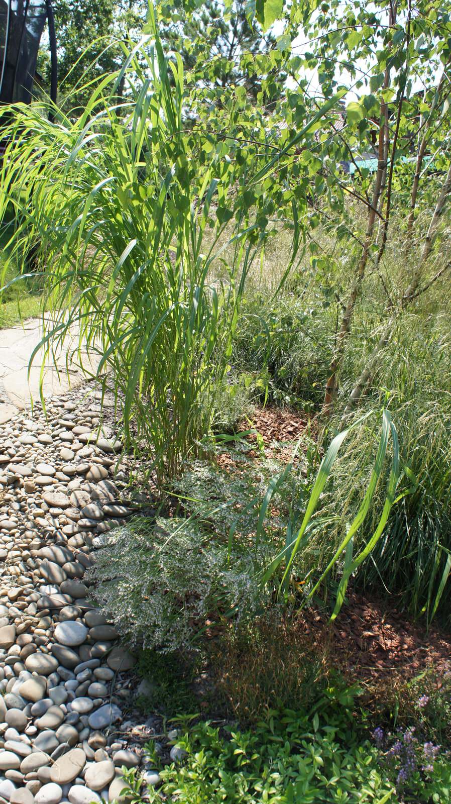 Прохорово лето 2017