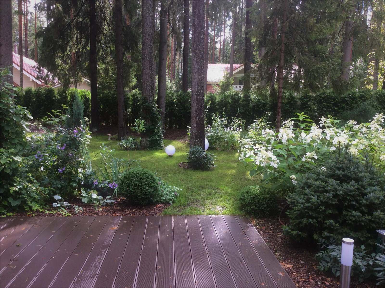 ШЕРВУДСКИЙ ЛЕС