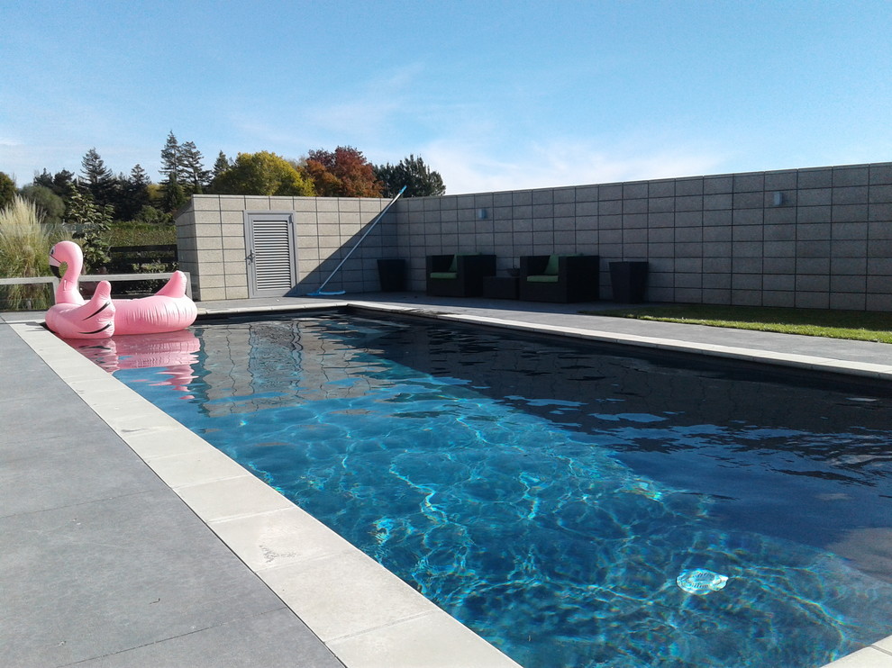 This is an example of a modern pool in Napier-Hastings.