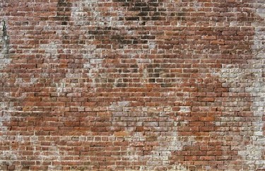 Distressed Brick Wall Panels - img-paraquat