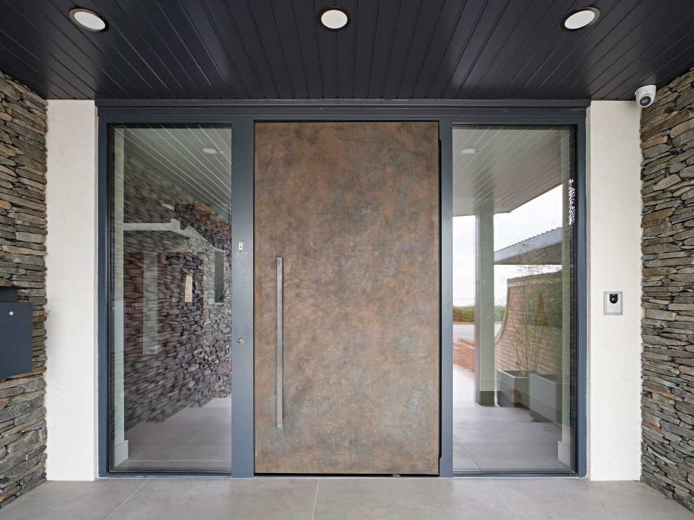 Foto di un ingresso o corridoio contemporaneo con una porta a pivot e una porta in metallo
