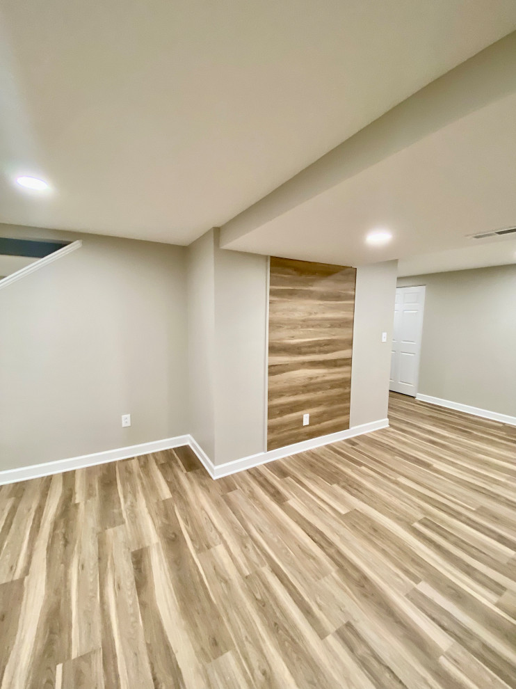 Modern Basement Remodel