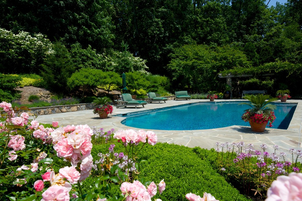 Design ideas for a large traditional backyard custom-shaped pool in New York with natural stone pavers.