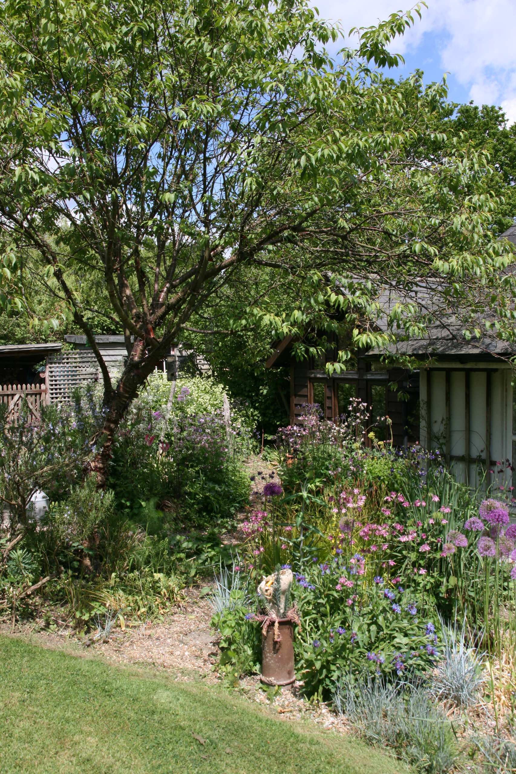 A Plantsmans Garden
