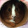 Last commented by Quiantkbw123