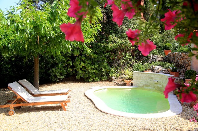 Mini piscine mediterranean-pools-and-hot-tubs
