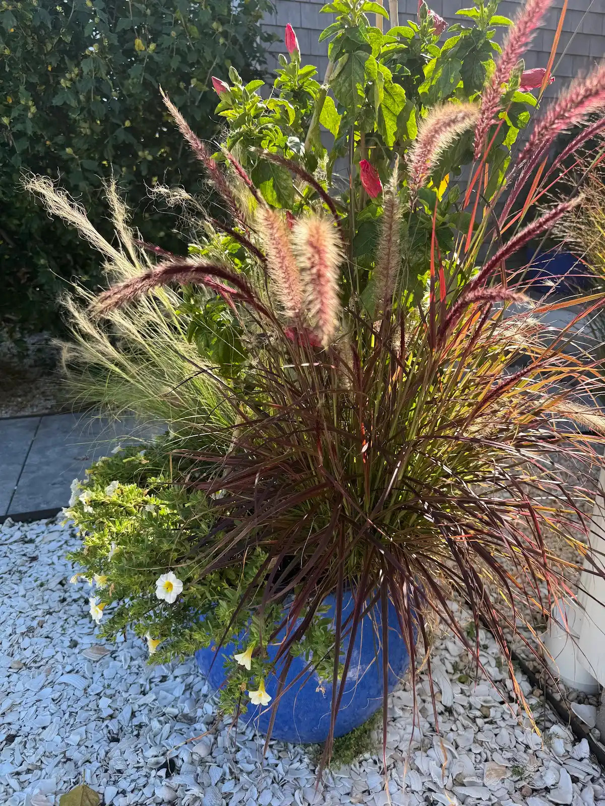 Beach Plumb Lane in Eastham