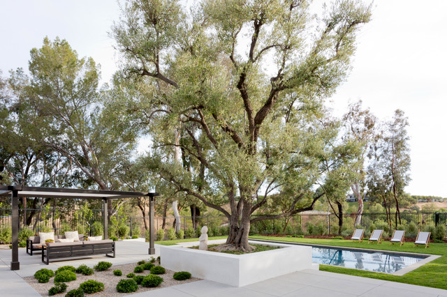 Hidden Hills anni-50-giardino