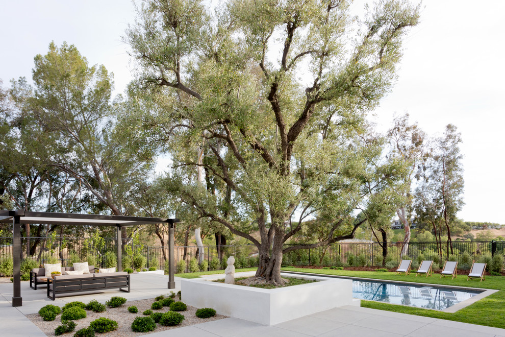 Inspiration for a midcentury backyard garden in Los Angeles with concrete pavers.