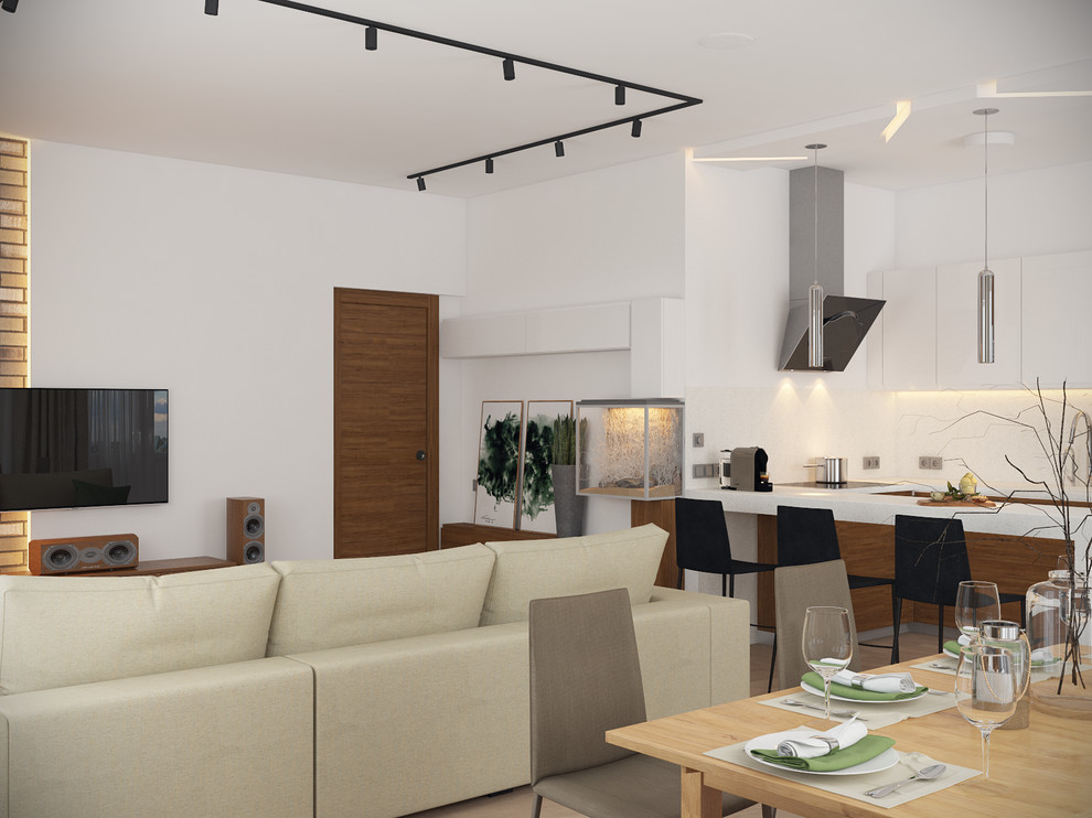 Скандинавский Минимализм. Обеденная зона изолирована от зоны ТВ диваном, располо