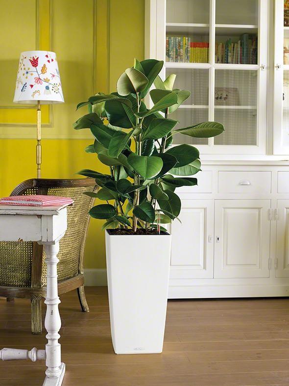 Сочетание дизайна и функциональности