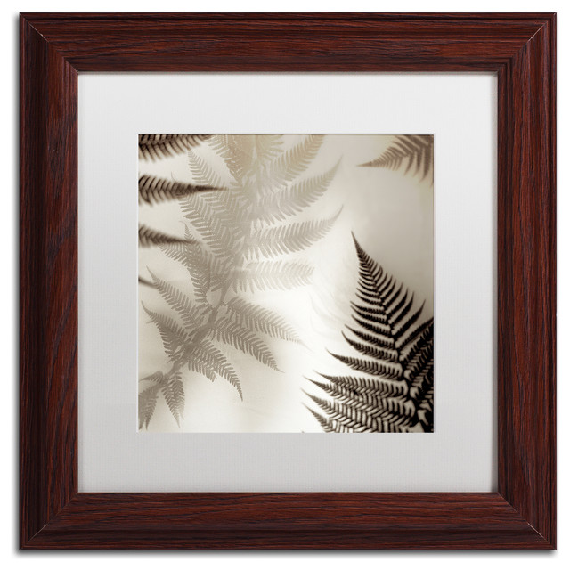 Alan Blaustein 'Florison 65' Art Tropical Prints And Posters by