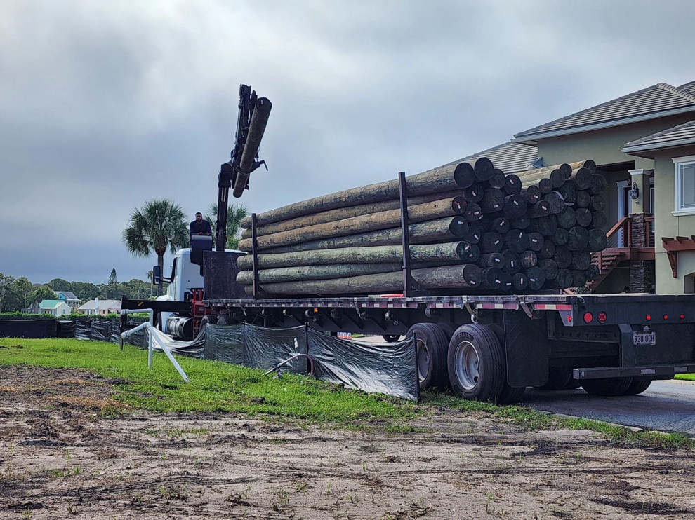 Tarpon Springs Project 2024/2025