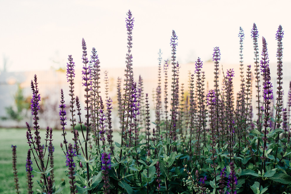 Агропустынь