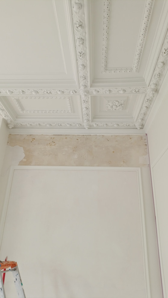 Présence de moisissures dans les murs