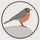 robin_muto37