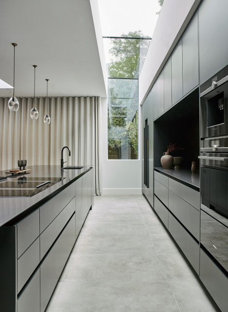 Case Study: Butler contemporary-kitchen