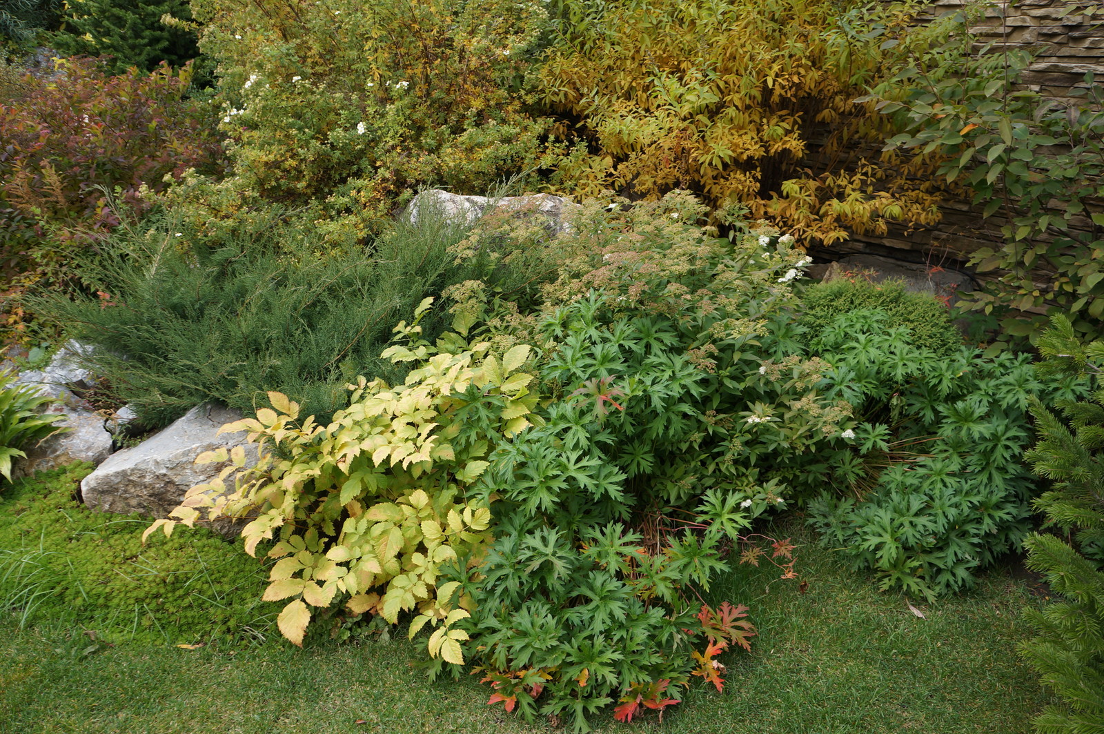 Ясная  поляна