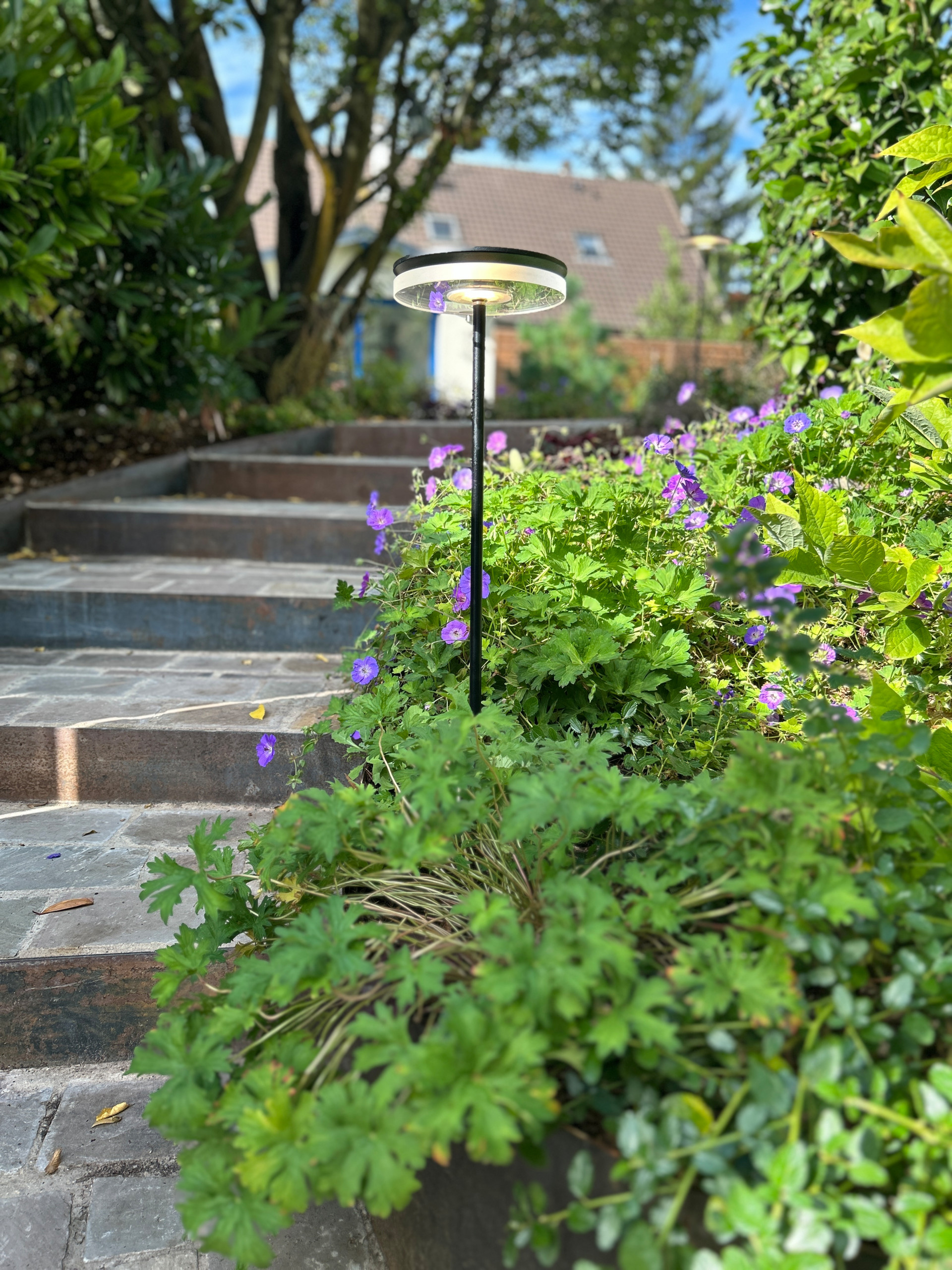 Jardin en Pots : Un Écrin de Nature