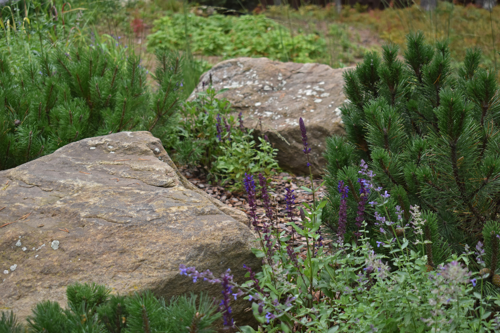 Проект "Волшебное озеро"