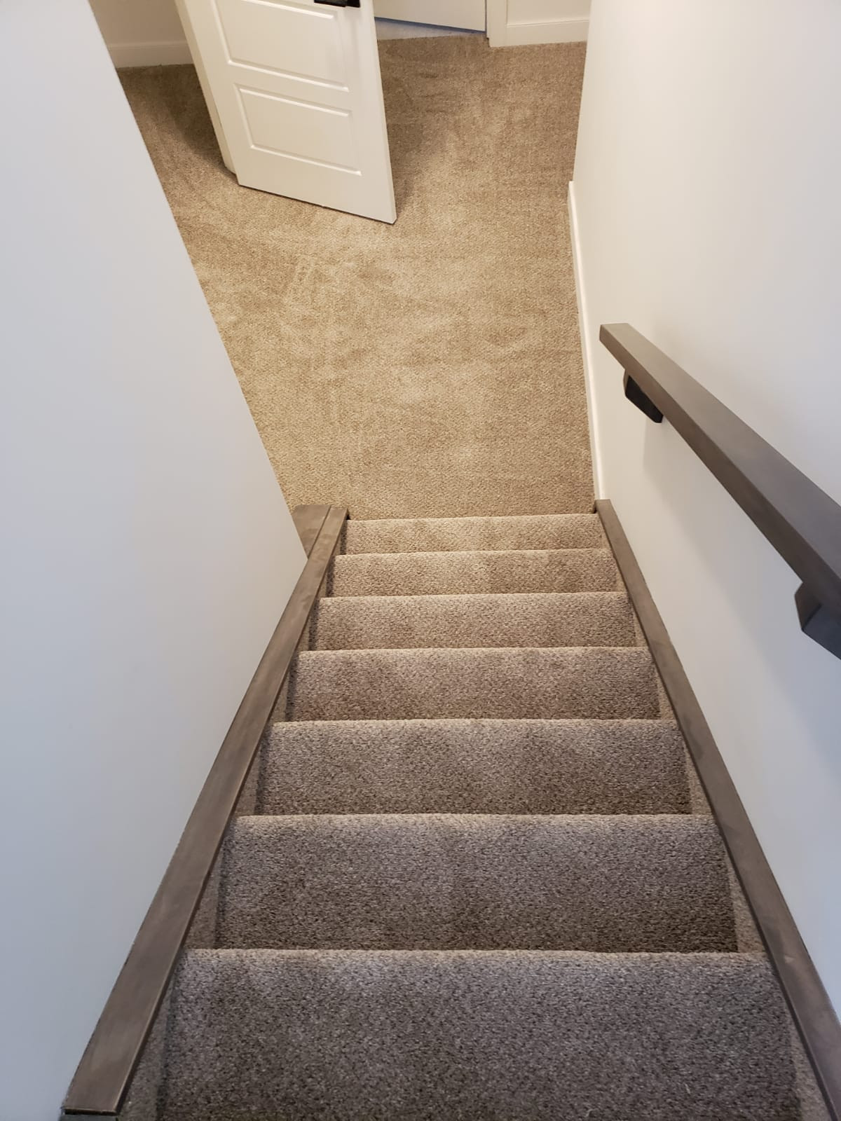 Carpet