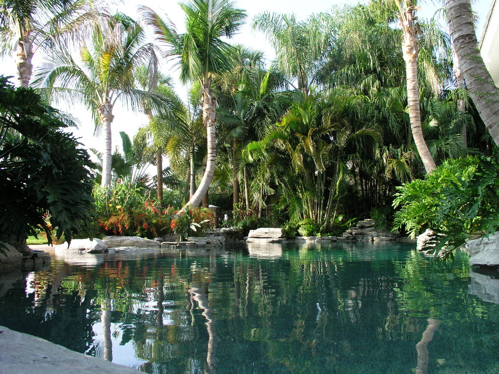 Tropical custom-shaped natural pool in Tampa.
