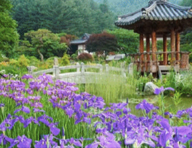 Hanwoori Garden Project