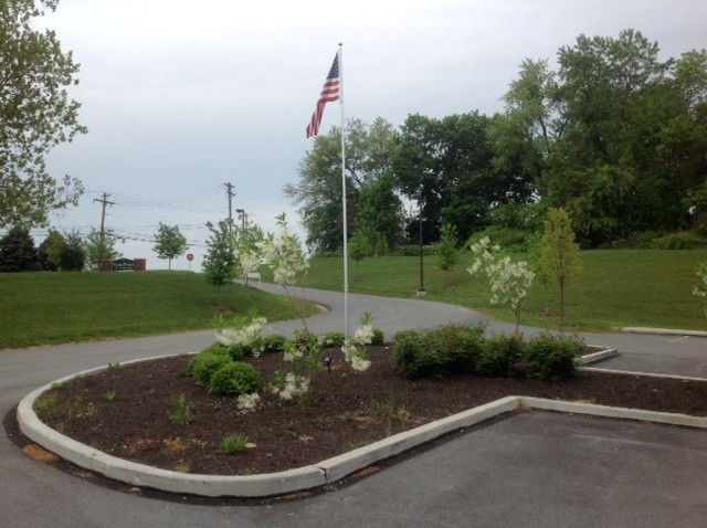 Small Landscaping Projects