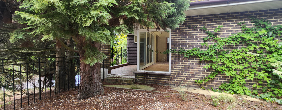 Woodpecker close Cobham