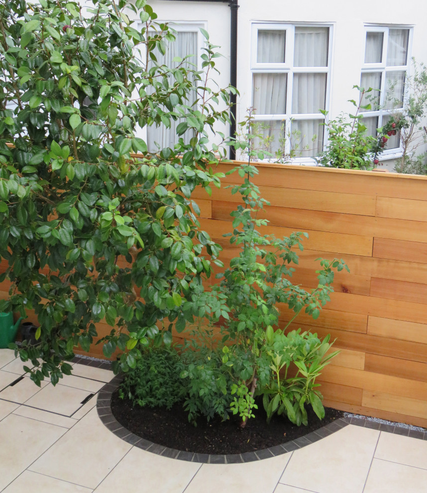 Back Garden, London