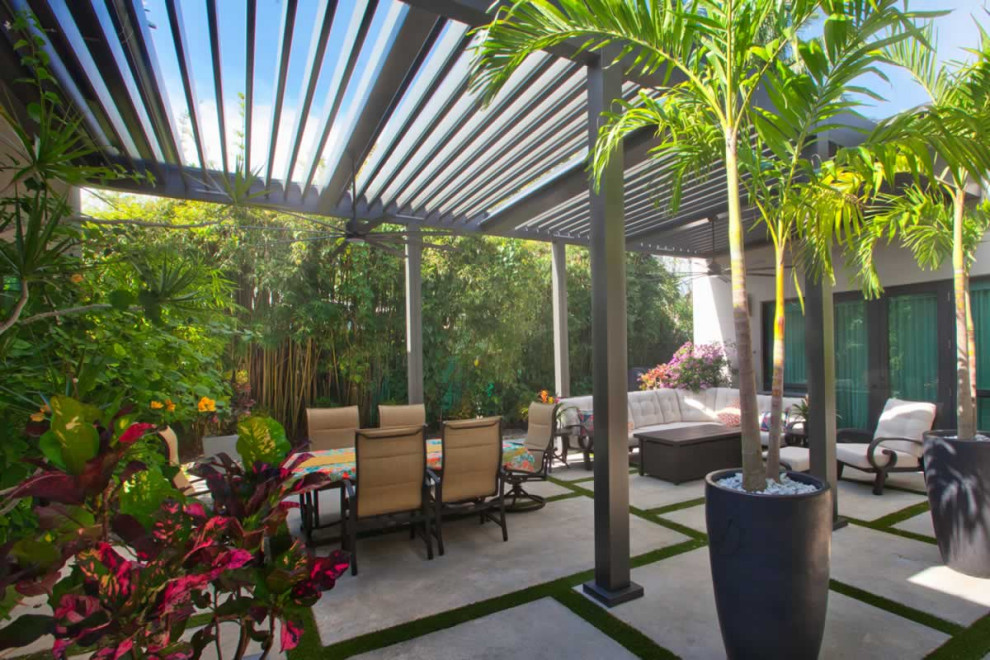 Mid-sized tropical courtyard patio in Miami with concrete pavers and a pergola.