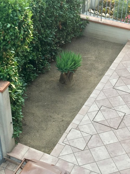 Mini giardino come sistemare?? Come sistemare un giardino