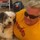 bryan_whittington