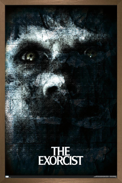 The Exorcist - Face, 22.375