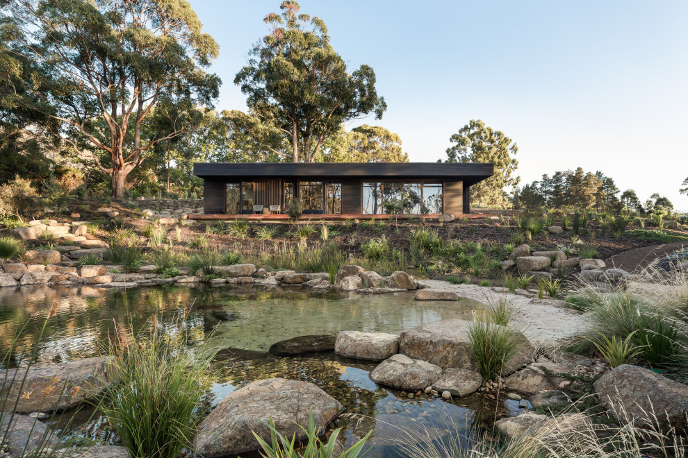 This is an example of a modern one-storey black house exterior in Hobart with a flat roof.