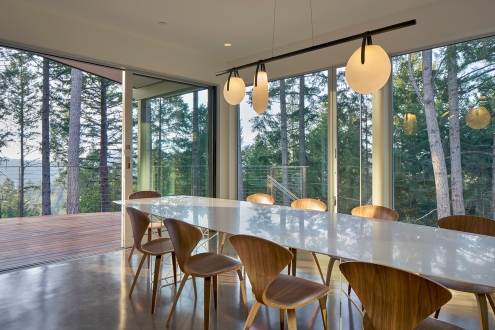 Photo of a mid-sized contemporary open plan dining in San Francisco with white walls, concrete floors and no fireplace.