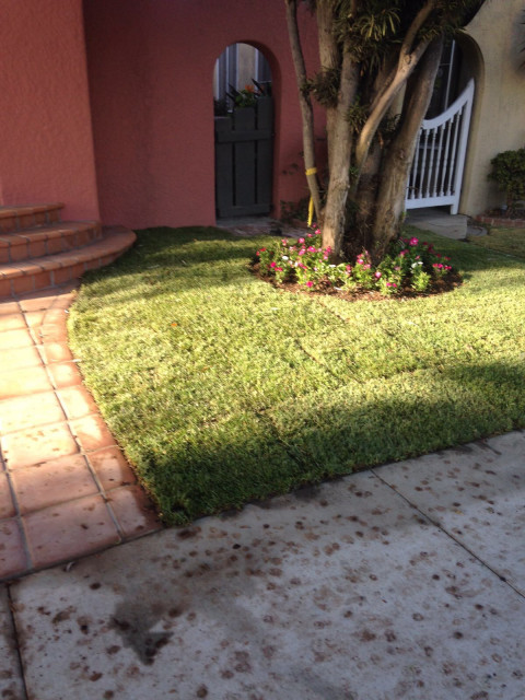 Pasadena Front Yard Design farmhouse-garden