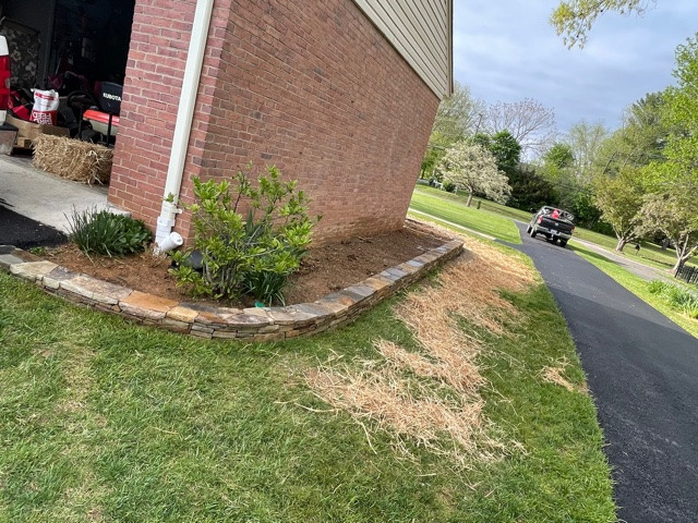 Design ideas for a traditional landscaping in DC Metro.
