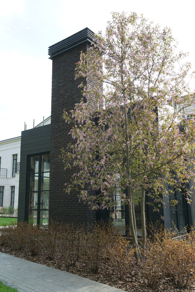 Мэдисон Парк 2022 г