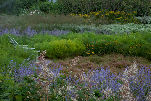 How to create a wild, naturalistic style garden