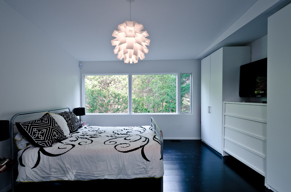 Design ideas for a large modern master bedroom with white walls, painted wood floors, no fireplace and black floor.