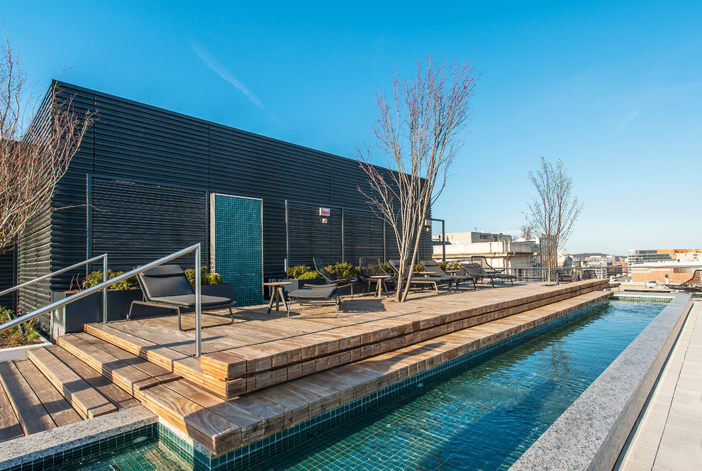 This is an example of a contemporary lap pool in San Francisco.